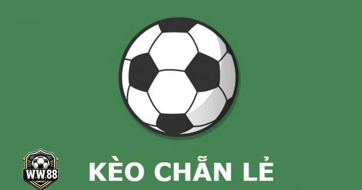 Kèo Chẵn Lẻ Là Gì? Cách Đọc Kèo & Cách Chơi Tại WW88 4 Sự khác biệt giữa kèo chẵn lẻ hiệp 1 và cả trận