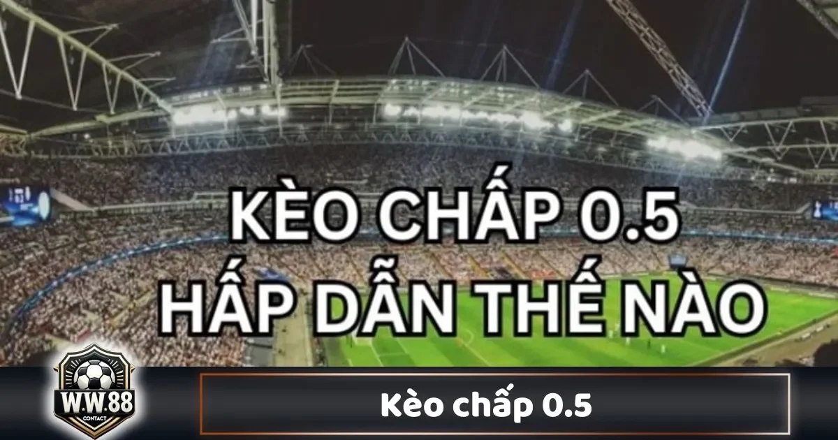 Kèo Chấp 0.5 Là Gì? Cách Đọc Kèo & Đặt Cược Tại WW88 2 Khi Nào Nhà Cái Đưa Ra Kèo Chấp 0.5?