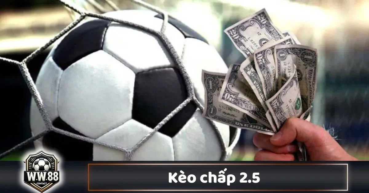 Kèo Chấp 2.5 Là Gì? Cách Đọc Kèo & Cách Chơi Tại WW88 2 Những Yếu Tố Quan Trọng Khi Đặt Kèo Chấp 2.5
