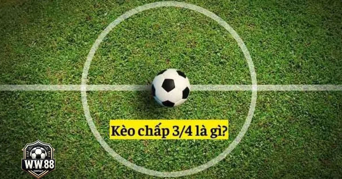 Kèo Chấp 3/4 Là Gì? Cách Cá Cược & Đọc Kèo Tại WW88 4 Khi Nào Nên Đặt Cược Vào Kèo Chấp 3/4?