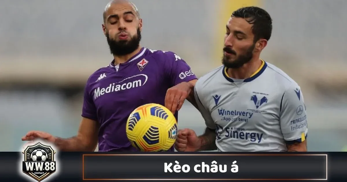 Kèo Châu Á Là Gì? Hướng Dẫn Đọc Kèo & Đặt Cược WW88 2 Kèo Châu Á Là Gì? Kèo Châu Á Hoạt Động Như Thế Nào & Cách Nhà Cái Ra Kèo?
